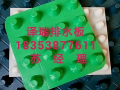 扬州车库顶板排水板%绿化蓄排水板厂家18353877611图1