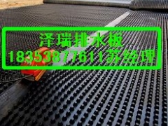 供应%重庆车库高抗压排水板=绿化聚乙烯蓄排水板图1