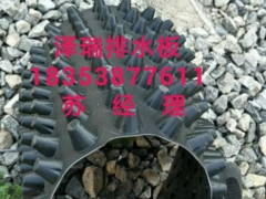 潍坊%2公分车库排水板厂家~蓄排水板施工图1