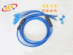 金属螺旋铠装光缆，广东东莞鸿鑫光缆，柔性铠装光缆产品图2