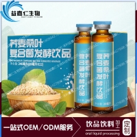 荞麦桑叶复合饮品加工 新资源草本植物饮料OEM贴牌代工厂