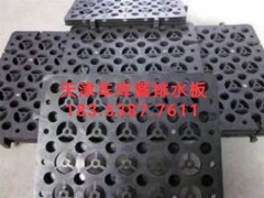 天津2公分车库绿化排水板/蓄排水板生产厂家图3