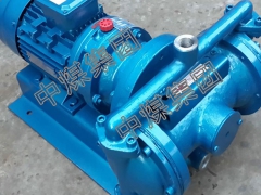 DBY-25电动隔膜泵 电动隔膜泵长期有效 电动隔膜泵尺寸图1