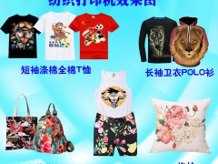 t桖服装布料打印机 纺织布料印花机 厂家直销图3