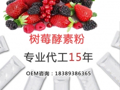 新零售一站式​多莓酵素粉OEM/ODM加工工厂图1