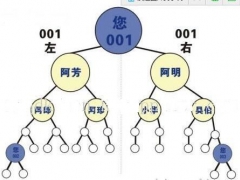 哈尔滨三三复制直销双轨太阳线模式开发公司图3