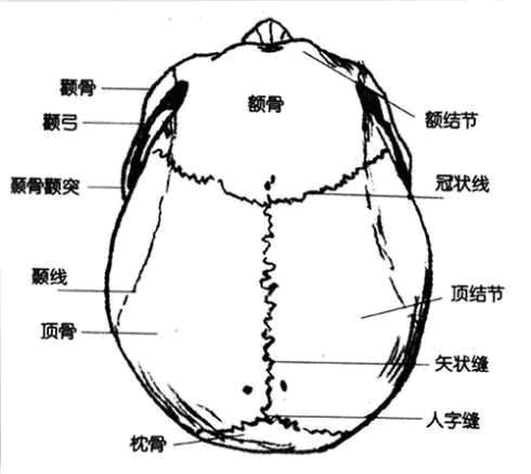 傅士博：大连打人案，受害人的伤情为何没有想象中的重？