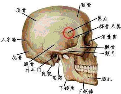 傅士博：大连打人案，受害人的伤情为何没有想象中的重？