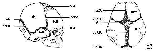 傅士博：大连打人案，受害人的伤情为何没有想象中的重？