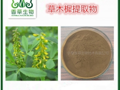 草木樨纯粉80目 黄花草木樨提取物10:1 野生草木犀生粉图1