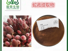 葛菌提取物15:1 蛇菰粉批发 蛇菰浓缩浸膏葛藤菌干燥粉厂家图1