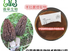 羊肚耳提取物5:1 珍珠菌速溶粉批发 羊肚耳浓缩浸膏现货图1