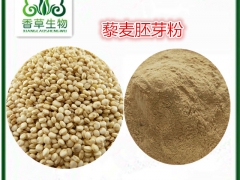 藜麦胚芽粉批发 藜麦胚芽提取物18:1白藜麦胚芽低温烘焙熟粉图1