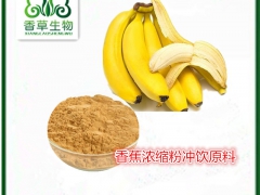 香蕉粉厂家批发  香蕉速溶奶茶原料宁夏供应商 金蕉膳食纤维粉图1