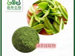 绿茶粉批发价格 绿茶提取物19:1  抹茶粉厂家直销图1