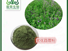 苜蓿苗汁粉 头茬苜蓿芽粉批发图2