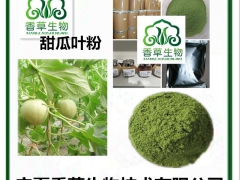 甜瓜叶粉批发 香瓜叶粉厂家 袋泡茶原料香草生物厂家图1