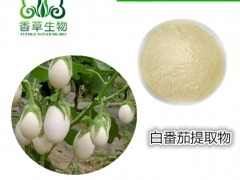 白番茄提取物15:1白番茄果粉批发 黑番茄水溶性粉厂家图1