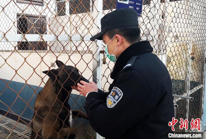 图为袁宏伟与战友“警犬雷战”。 崆峒公安供图 摄