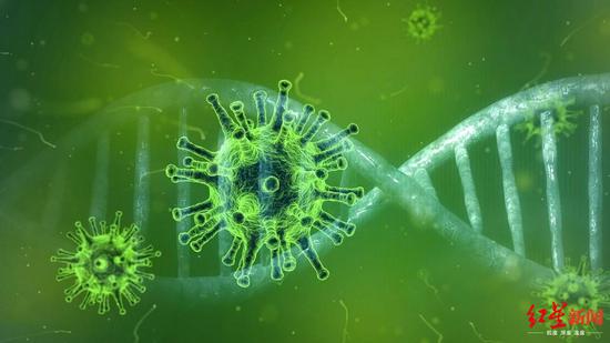 ↑新病毒90%的基因组成无法识别。图据今日俄罗斯