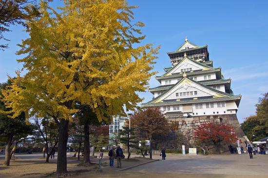 大阪城天守阁今年的每日到访人数与去年相比减少了20%。