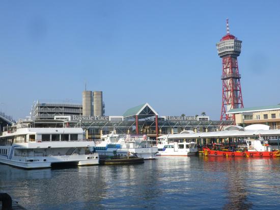 在福冈市的博多港，游轮相继取消。