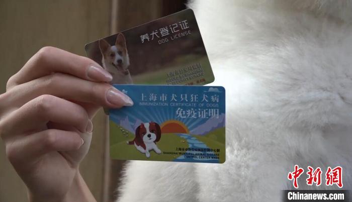 上海市养犬办理的两张证件 张践 摄