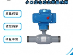 小口径电动全焊接球阀的参数-瑞柯斯图1